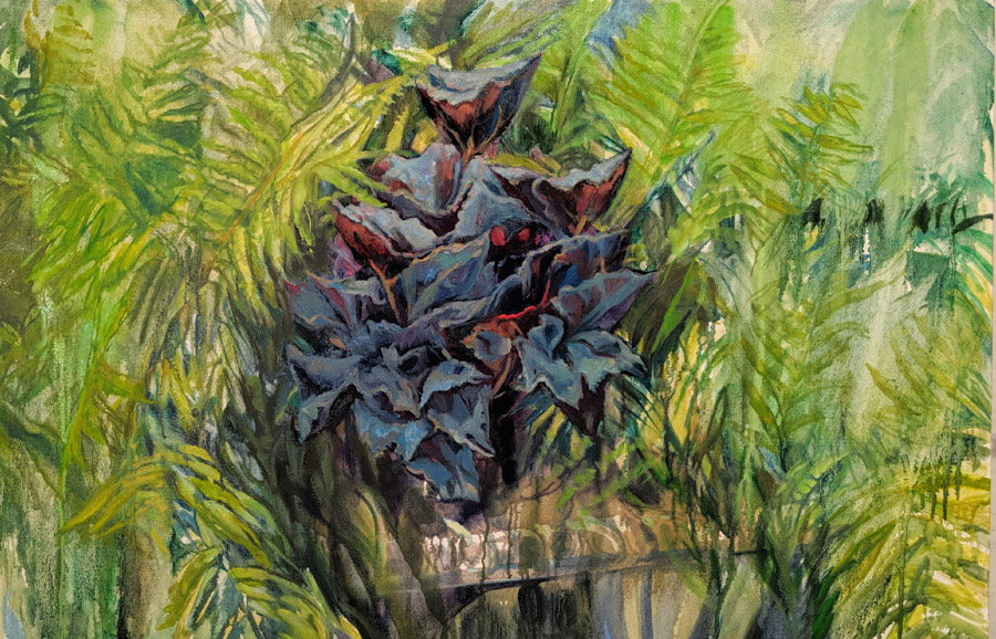 Red Begonia Resting Among the Tall Ferns, oil on canvas, 24 x 48
