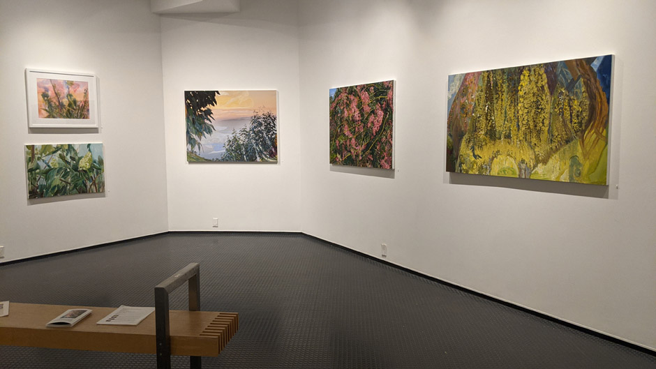 Entangled Gardens Installation View