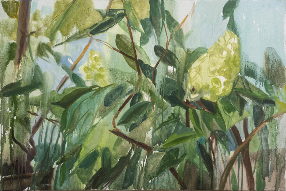 Summer Light Over Oak Leaf Hibiscus, oil on canvas, 24 x 36